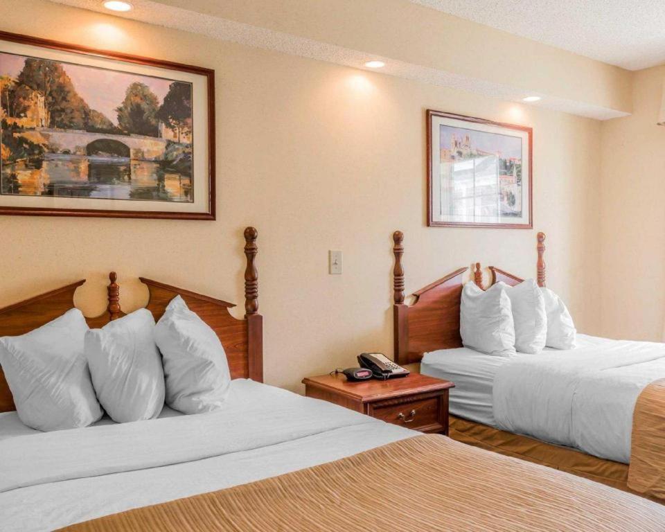Rodeway Inn Sylacauga Hwy 280 Kültér fotó