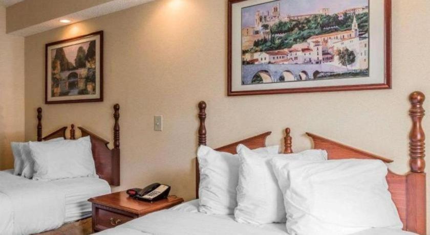 Rodeway Inn Sylacauga Hwy 280 Kültér fotó